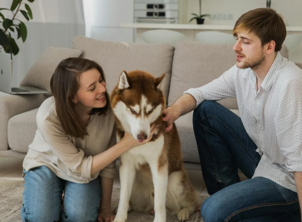 Hond huren? Help een baasje in de buurt!