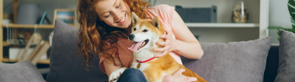 Hoe werkt een leenhond?